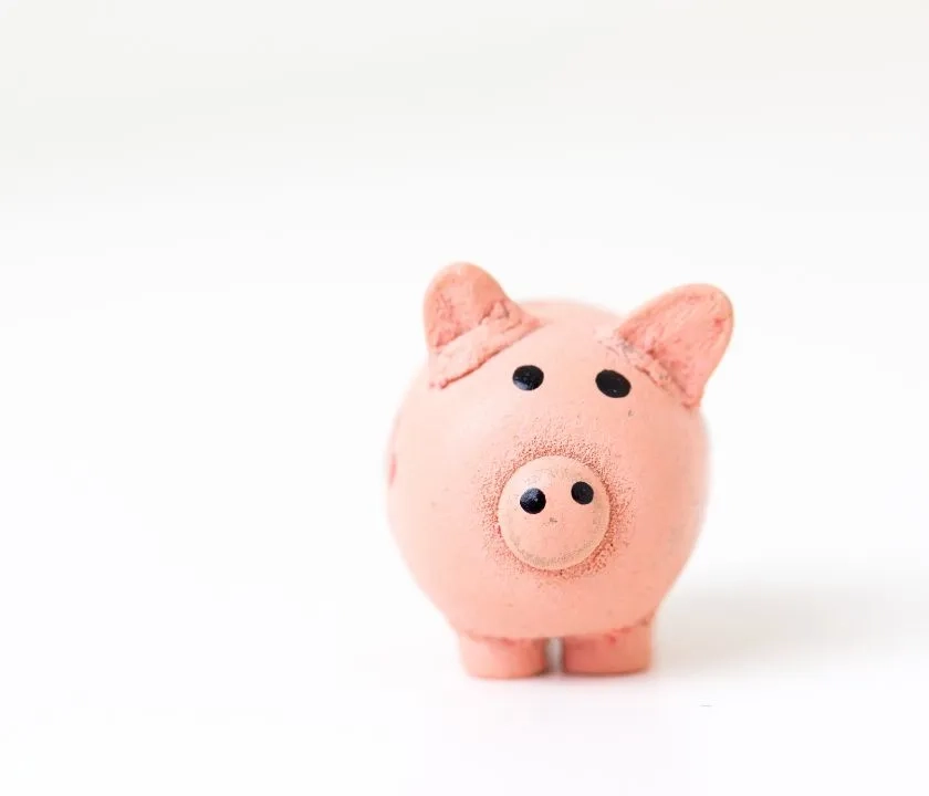A pink piggy bank against a white background. 